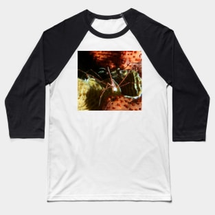 Arrow Crab at Night Baseball T-Shirt